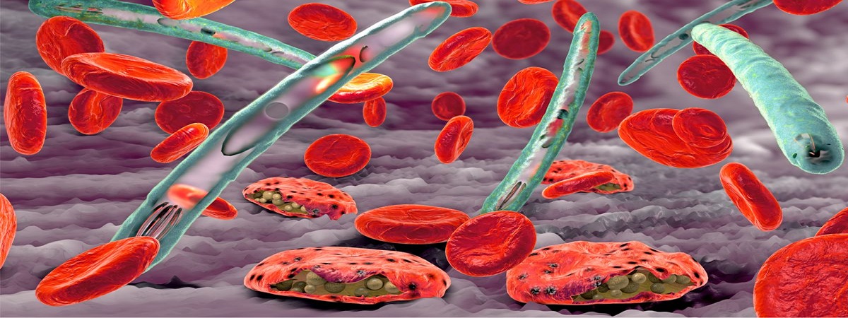 World Malaria Day